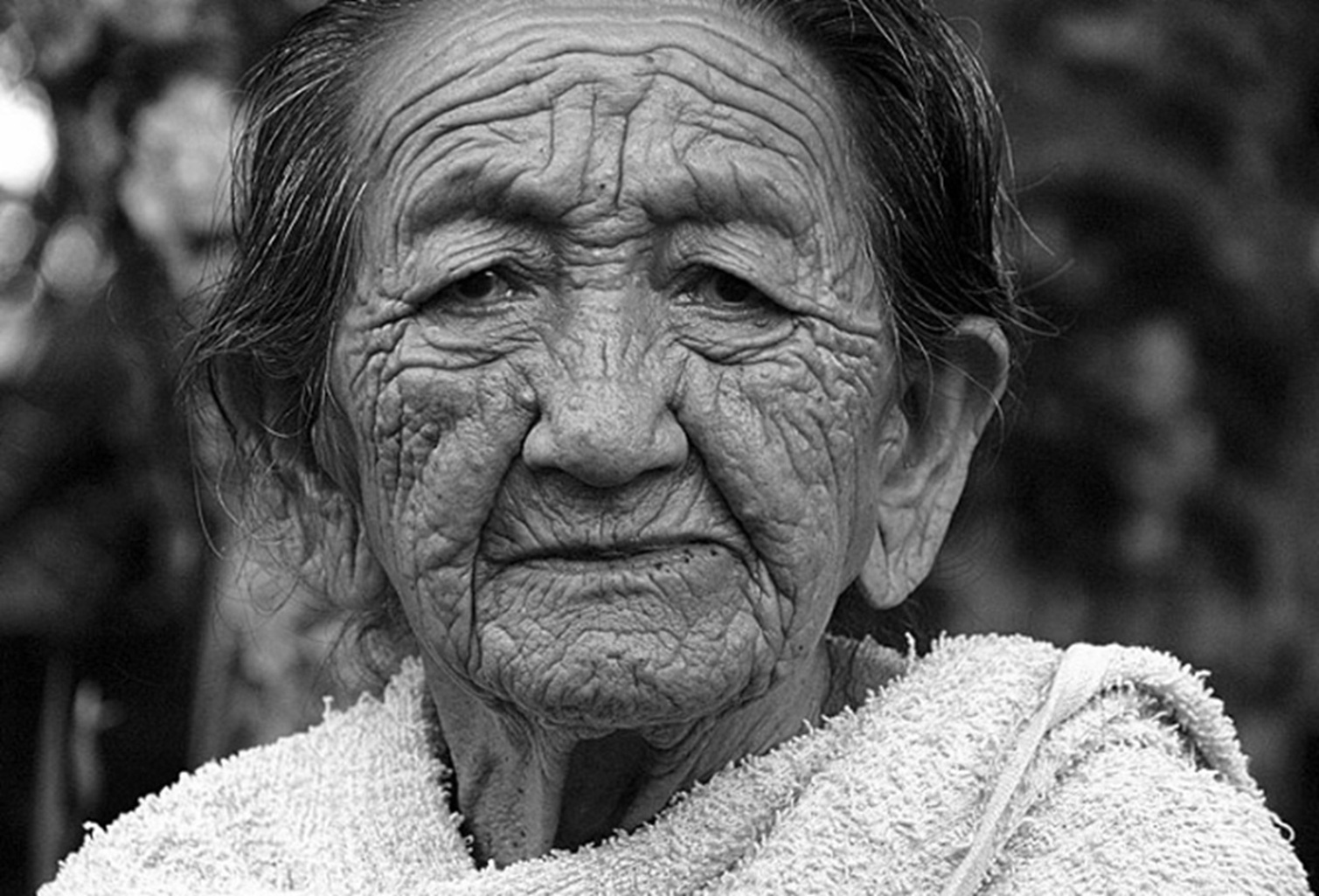 Pao Ying 41